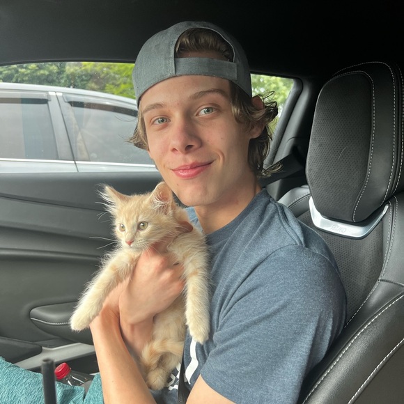 Meet your Posher, Gavin - Picture 1 of 1